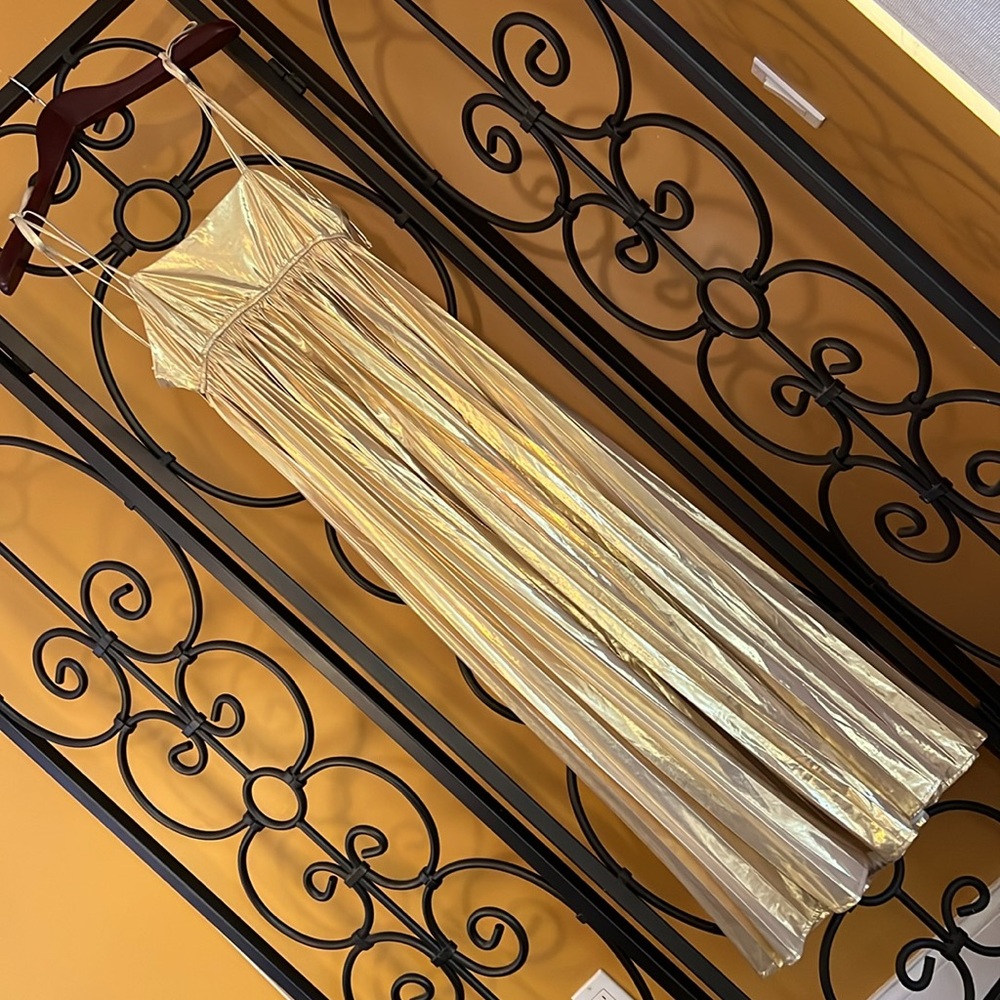 VICI Night Glow Pleated Metallic Maxi Dress